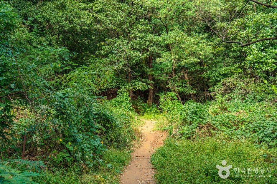 부천_[부천문화둘레길] 마을이음길 (5)