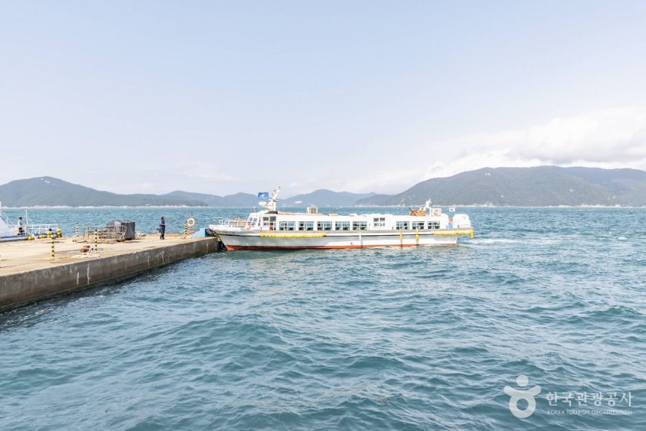 thumbnail-장사도해상공원 까멜리아-21