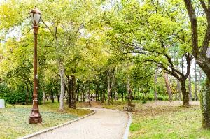 서울_여의도공원 (5)