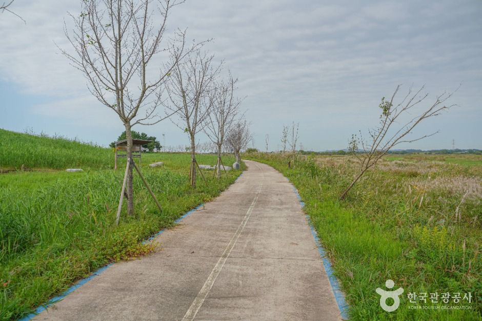 김제_새만금 광역탐방로 (6)