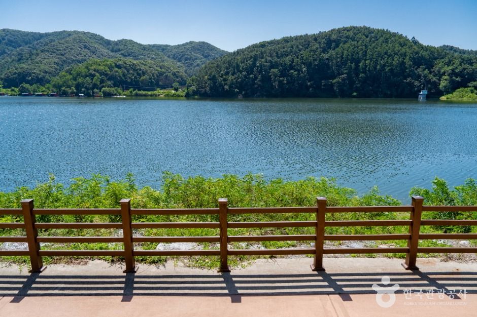 용인_용덕지 (3)