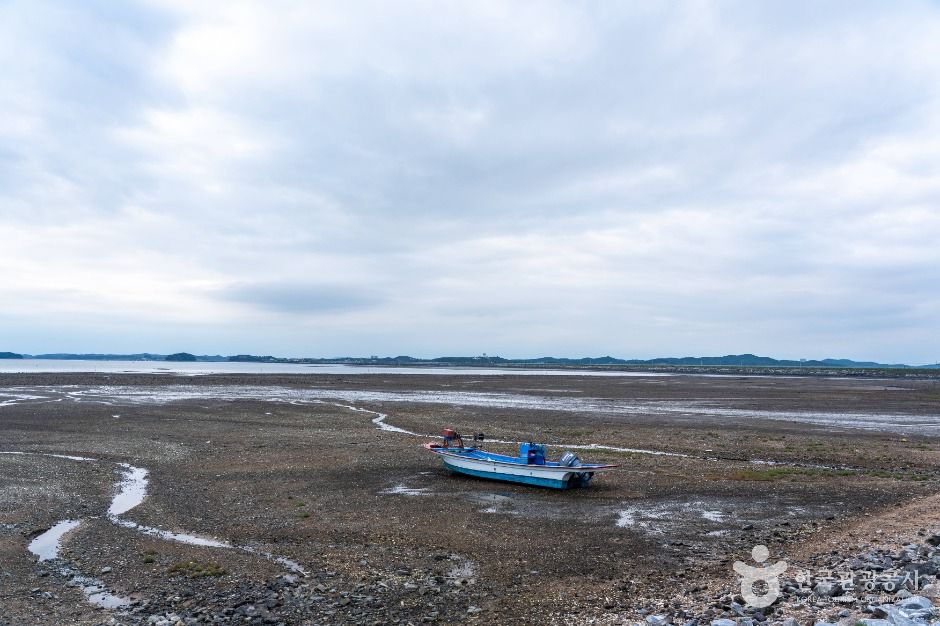 천수만(철새도래지)
