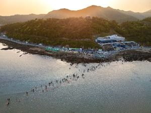 진도_진도 신비의 바닷길 (6)