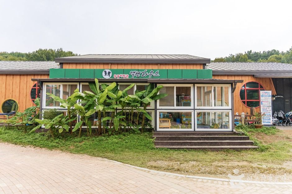 thumbnail-익산 액션하우스-0