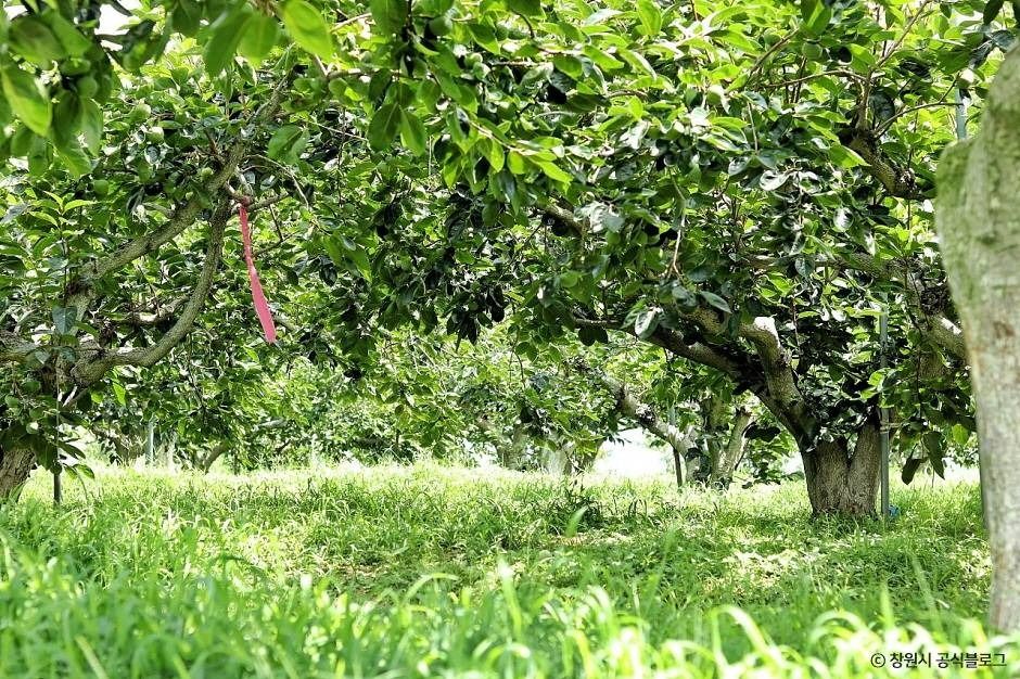 thumbnail-빗돌배기마을-14