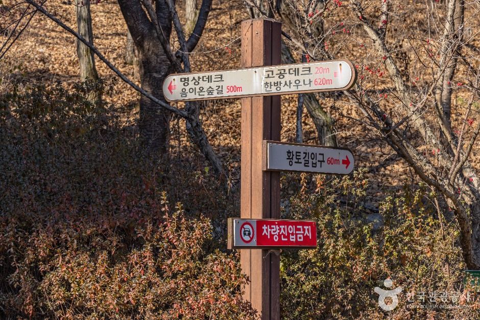 성주봉자연휴양림