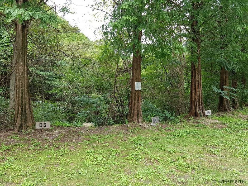thumbnail-국망봉자연휴양림-16