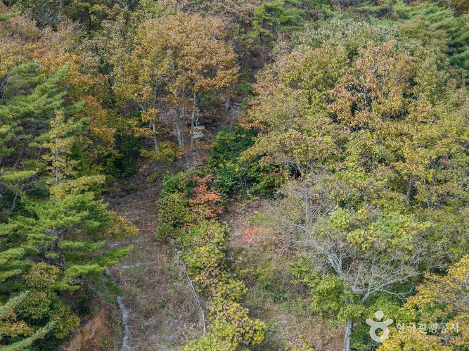 고흥_시호도 (4)