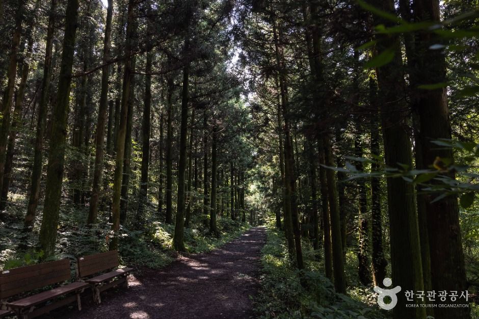 교래 삼다수마을