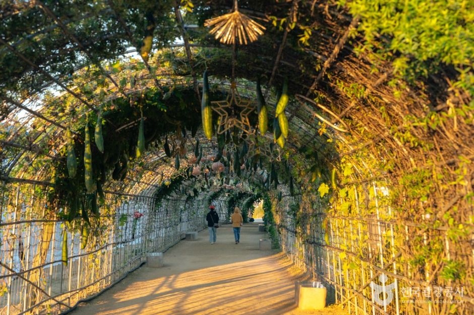 대구 하중도 (금호꽃섬)