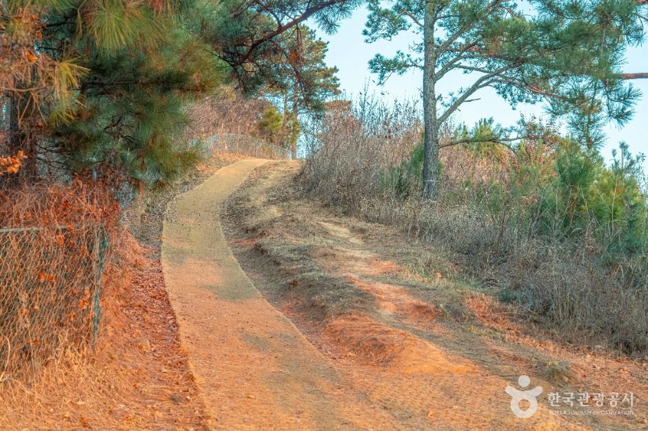 [부산 갈맷길] 5코스