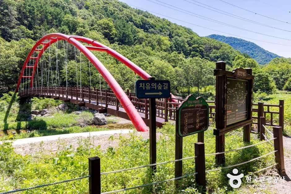 thumbnail-장령산자연휴양림-2