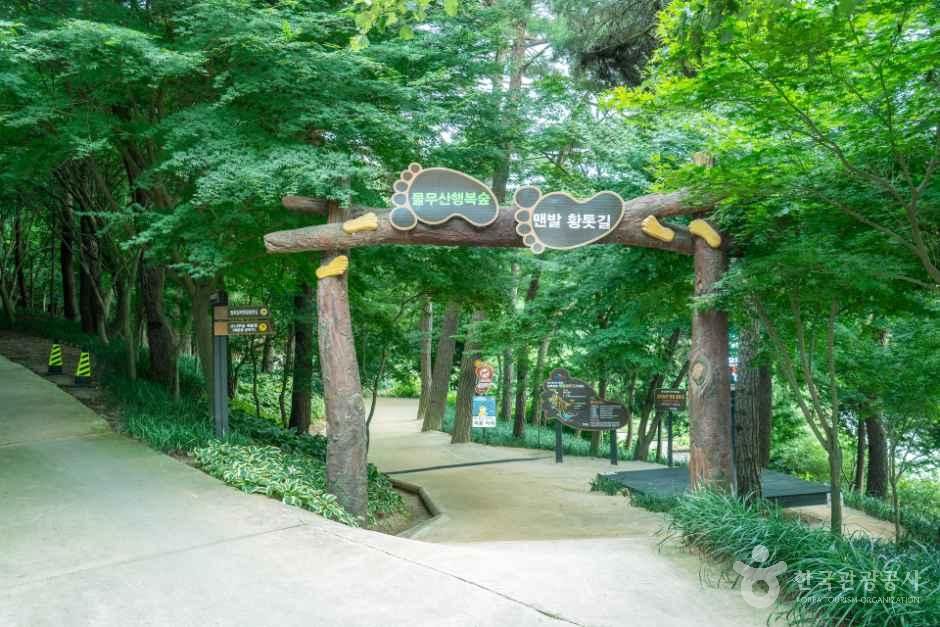 thumbnail-물무산 행복숲-0