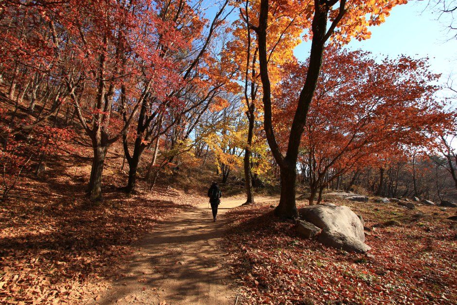 thumbnail-칠곡 가산산성-7