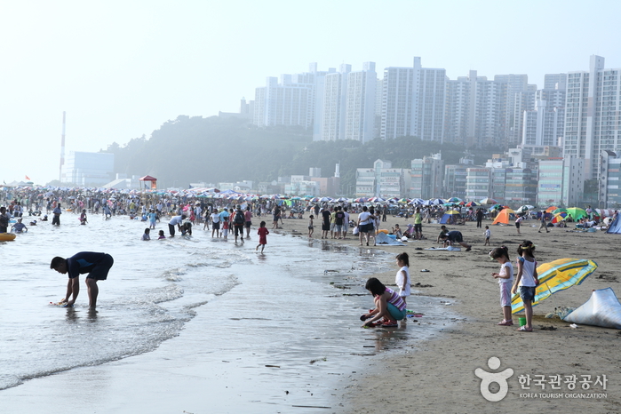 Dadaepo Beach (다대포해수욕장)