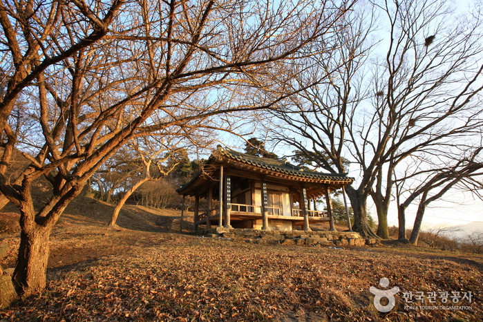 Jardín Myeongokheon Wollim de Damyang (담양 명옥헌 원림)