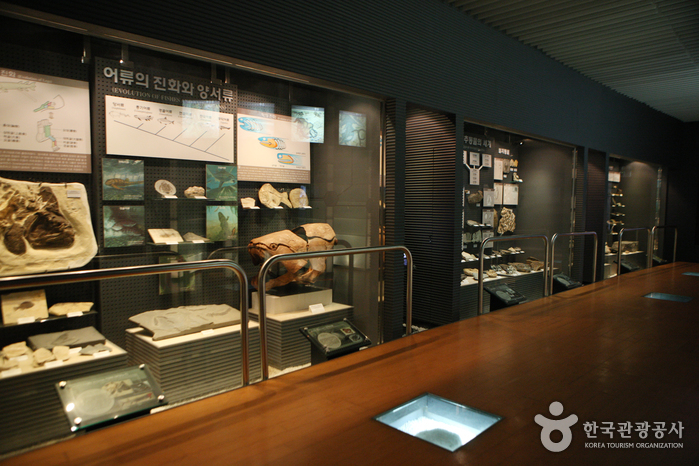 地質博物館（지질박물관）