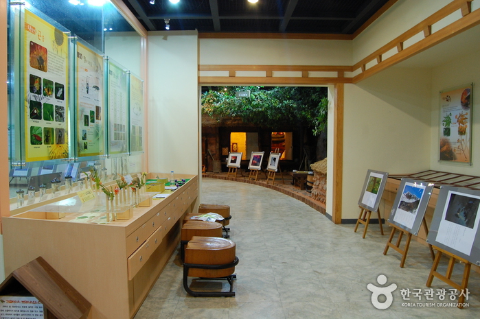 내장산국립공원 사진32