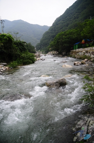 명지계곡 사진10