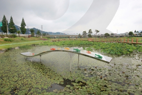 Tamjin River Wetland Eco-Park (탐진강 생태습지원)