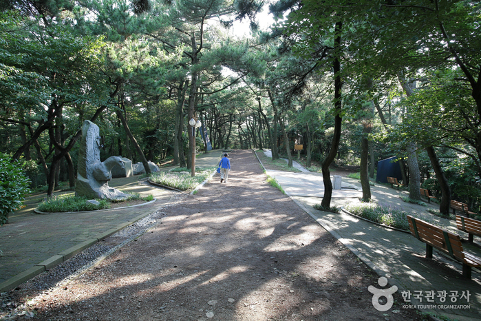 釜山岩南公园(부산 암남공원)7