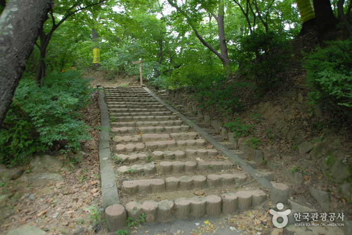 thumbnail-Bomunsan Forest Trail (보문산 행복 숲 둘레길)-10