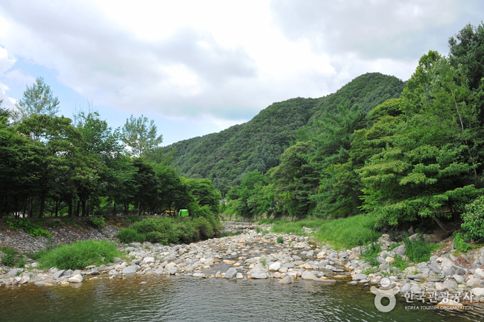 魚飛溪谷(어비계곡)