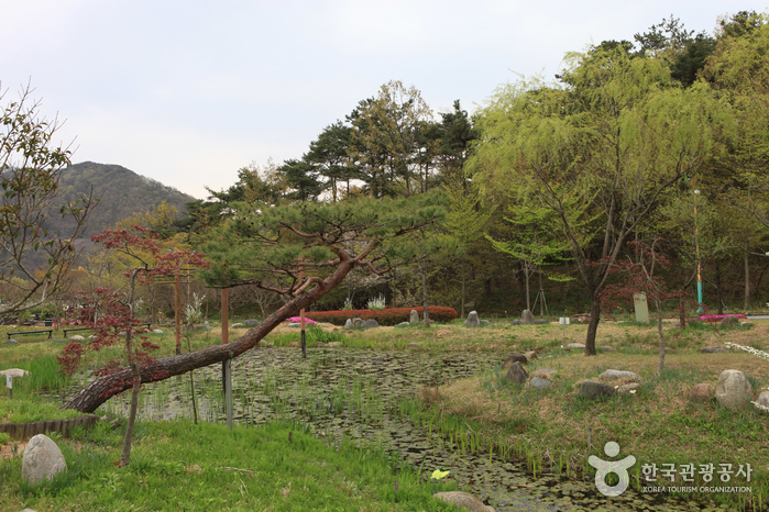 Ökopark Hampyeong (함평 자연생태공원)