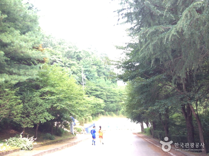 대전청소년수련마을3