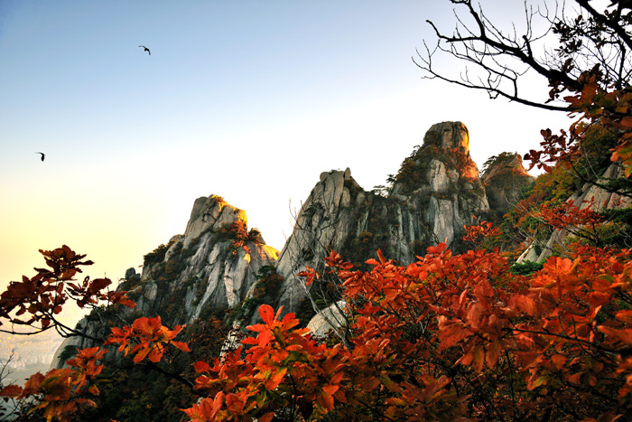 도봉산 사진6