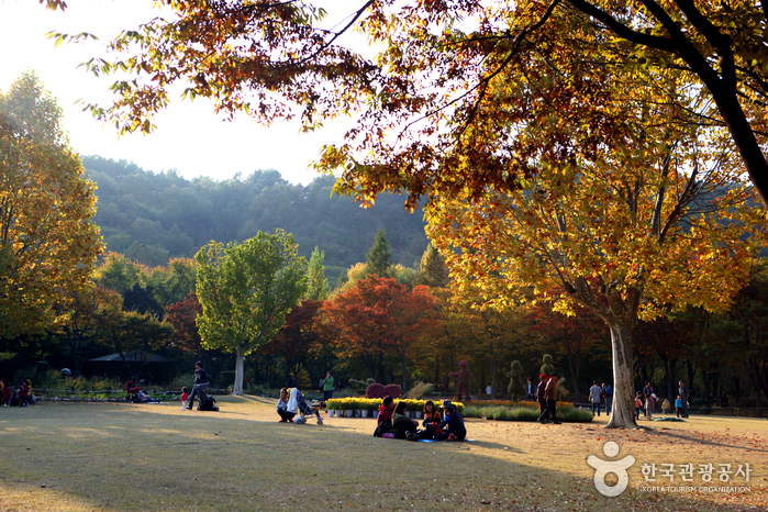 Arboretum de Daegu (대구수목원)7