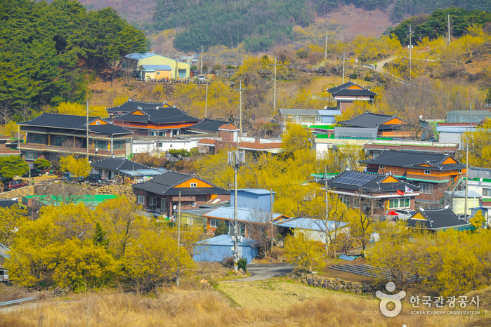 Gurye Sansuyu Village (구례 산수유마을)