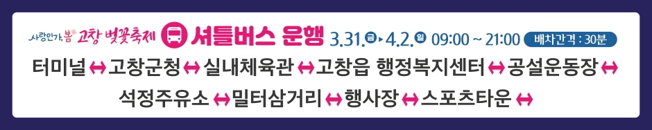 사랑인가, 봄 고창 벚꽃축제 (4)