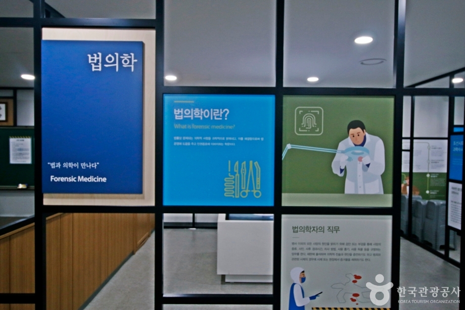 솔로몬로파크(대전)