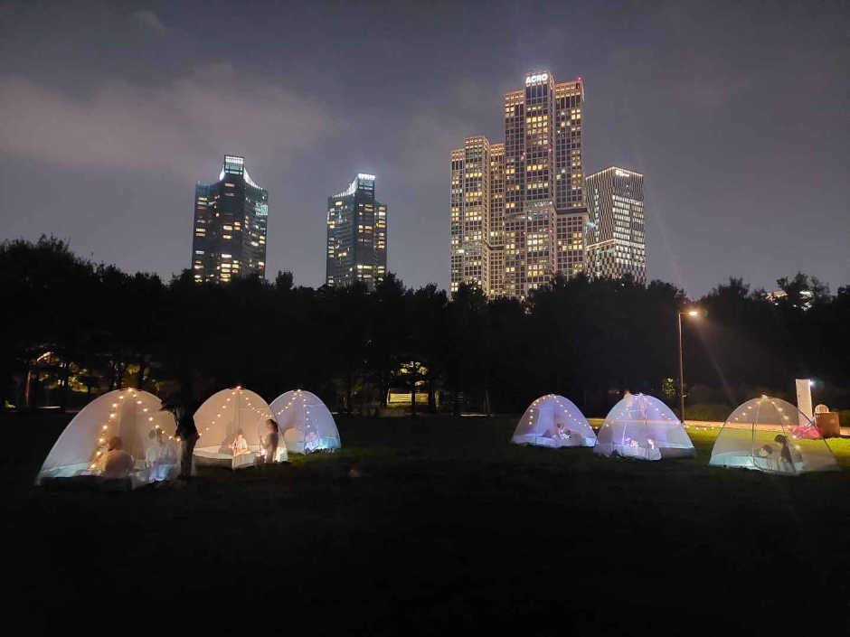 서울숲 푸른밤 축제 '별 헤는 서울숲'