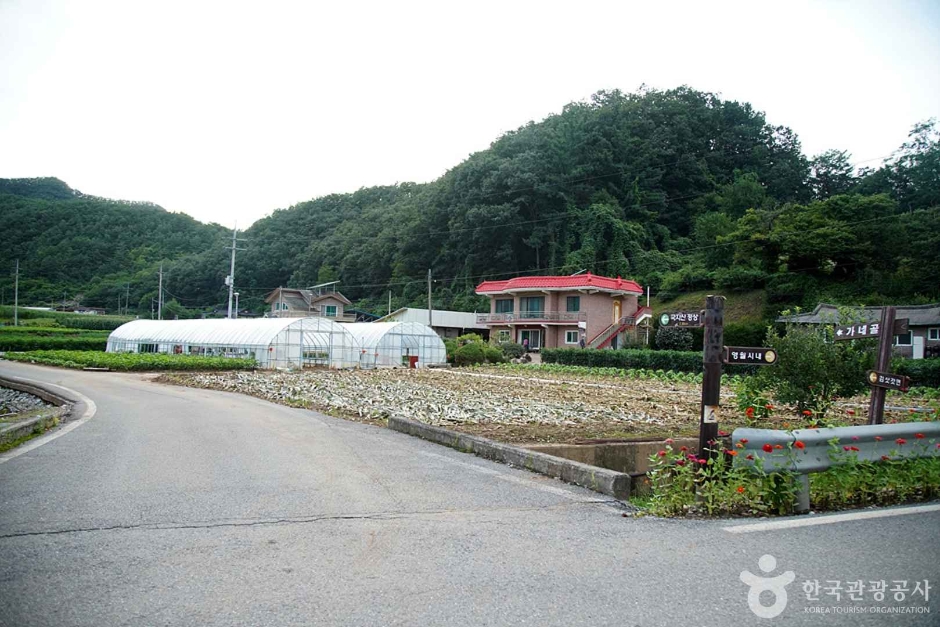 국지산