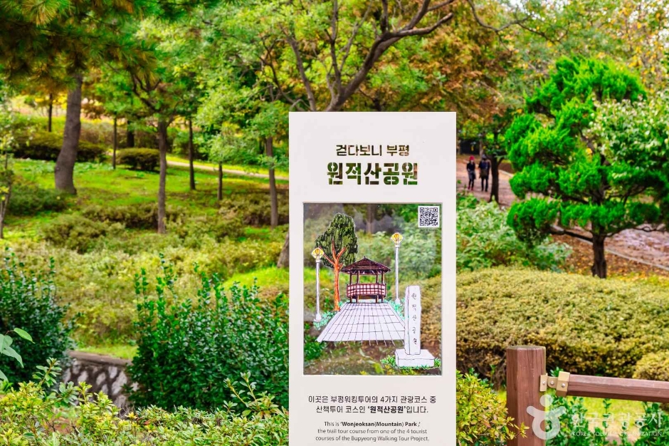 인천_원적산공원 은행나무숲 (13)