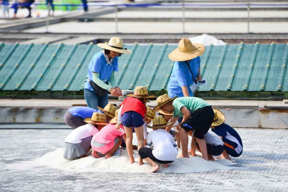 Siheung Gaetgol Festival (시흥갯골축제)