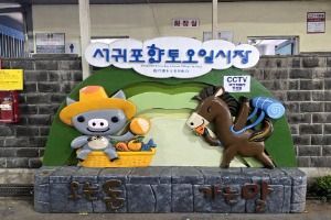 서귀포향토오일시장