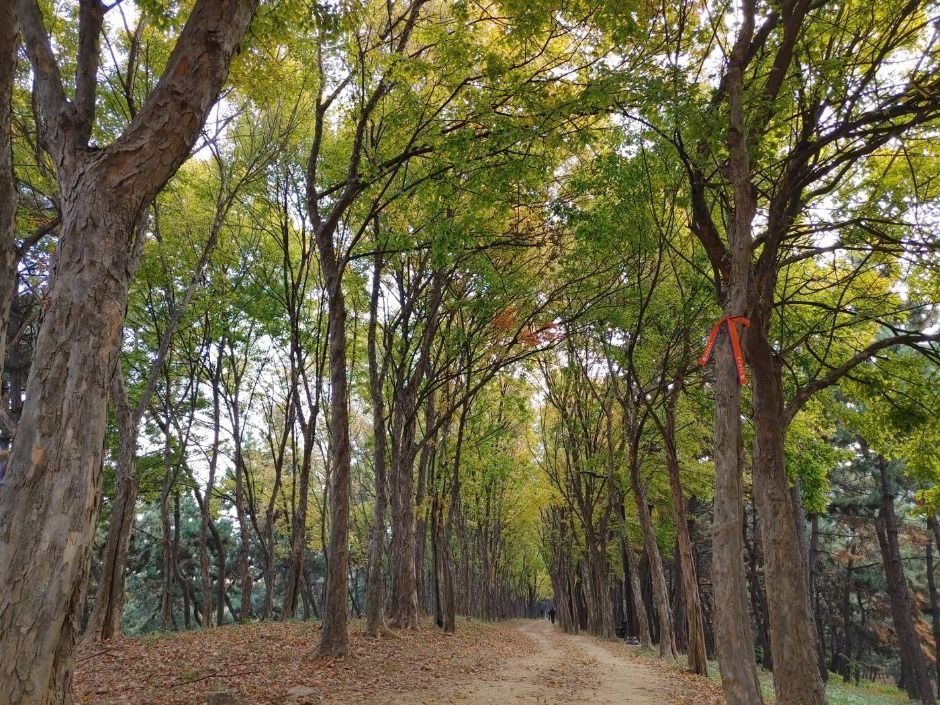 [시흥 늠내길 5코스] 정왕둘레길