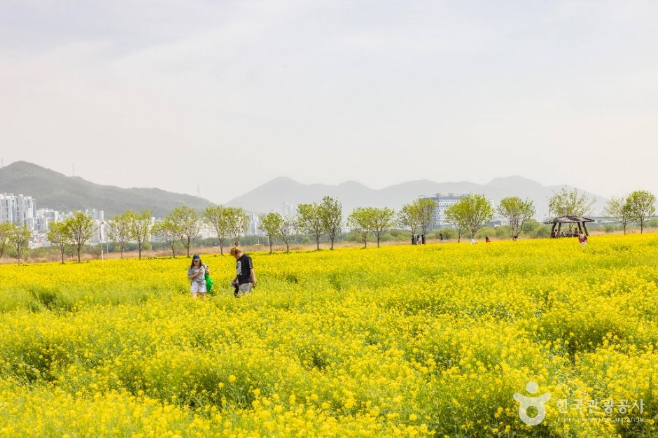 대저생태공원