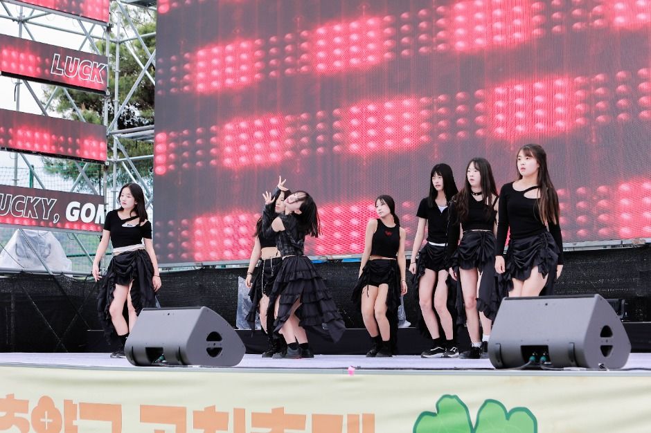 청춘양구 곰취축제
