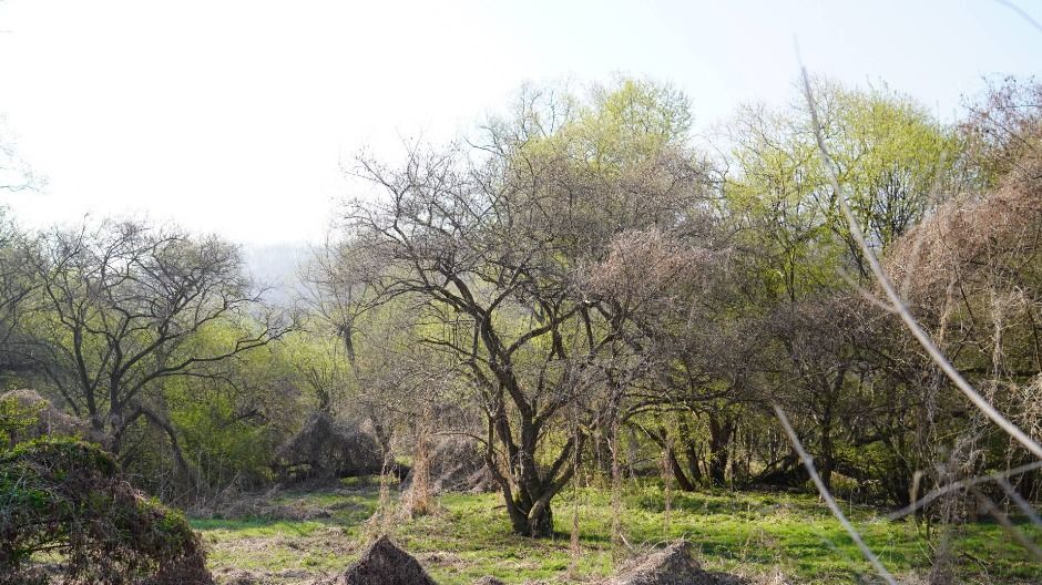파주 DMZ 생태연구소