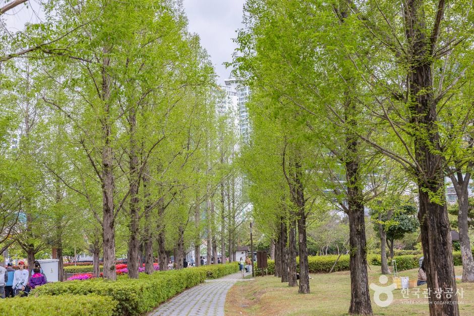 thumbnail-부산시민공원-21