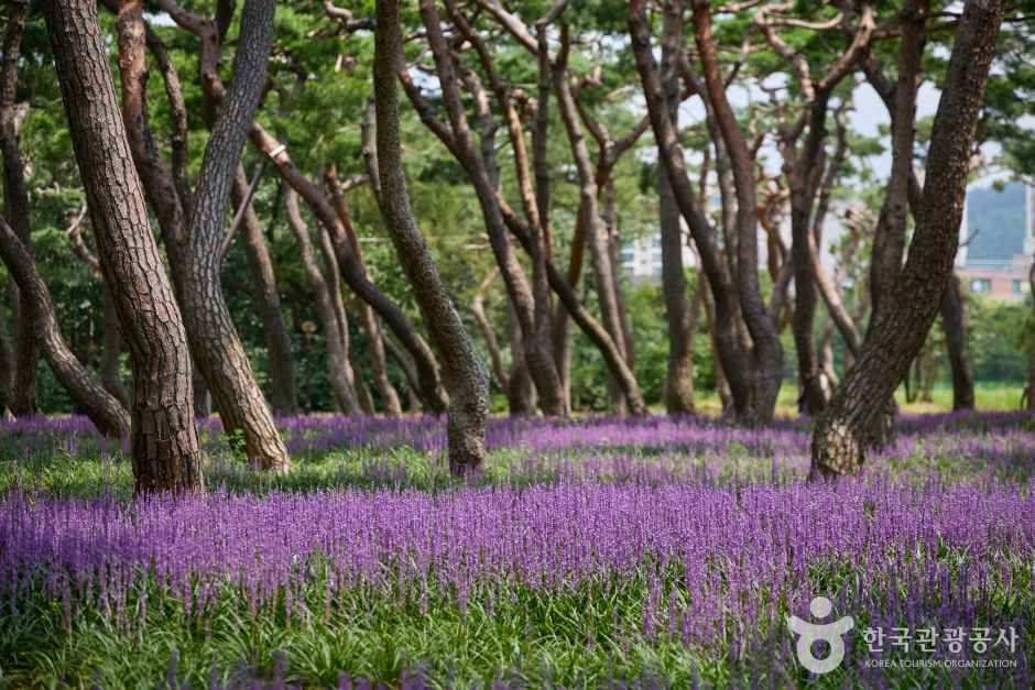 황성공원