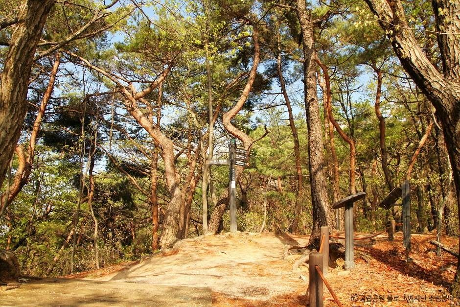 서울_[북한산 둘레길 5구간] 명상길 (7)