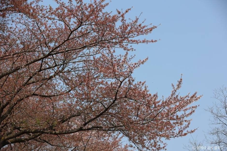 삼척_봉황산산림욕장 (13)
