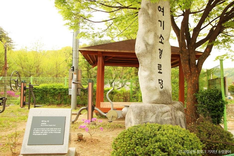 서울_[북한산 둘레길 10구간] 내시묘역길 (3)