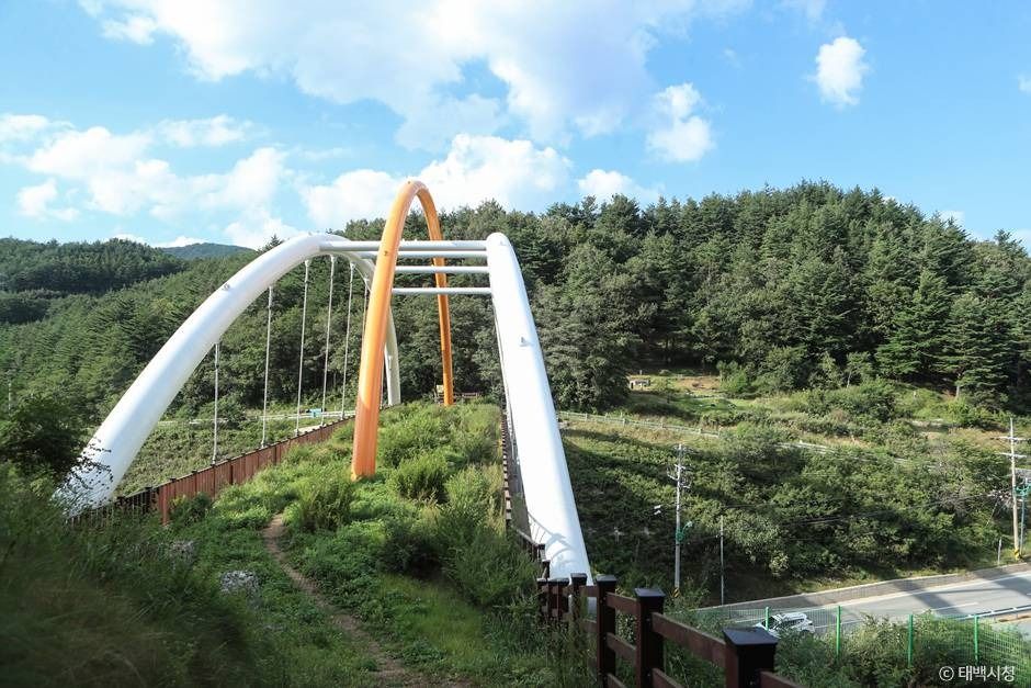 태백_연화산둘레길 (1)