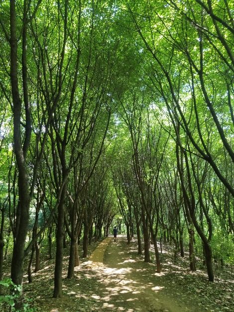 [서울둘레길 6코스] 고덕산코스